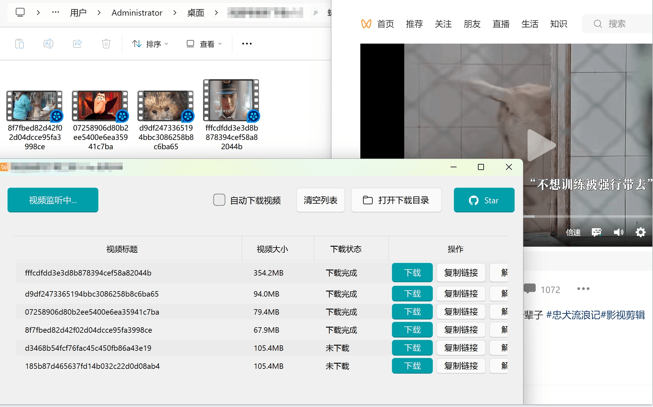 【免费】视频号下载器，去水印，解析下载，支持下载视频号视频