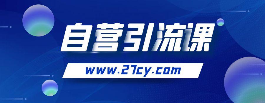 【自营录制】1.搜索引擎引流篇